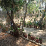 Kshema Mind Care, Bengaluru, Karnataka - 560074