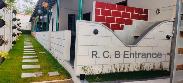 Recovering Cats, Bengaluru, Karnataka - 560060