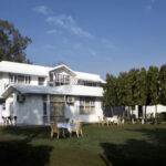 Roar Wellness Rehabilitation Centre, New Delhi, Delhi - 110074