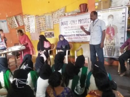 Dove in Adilabad, Telangana