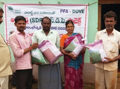 Dove in Rangareddy, Telangana