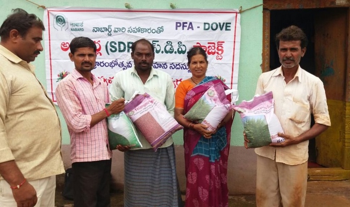 Dove in Rangareddy, Telangana