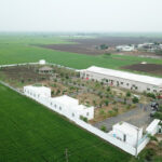 Kanta's Sanjeevini Psychiatry Hospital, Guntur, Andhra Pradesh - 522509