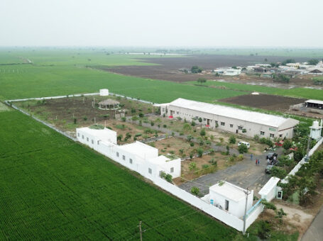 Kanta’s Sanjeevini Psychiatry Hospital, Guntur, Andhra Pradesh – 522509