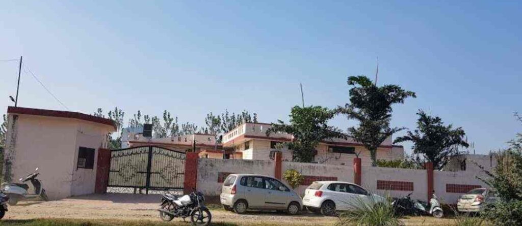 New Life Rehabilitation And Counselling Society, Jalandhar, Punjab - 144026