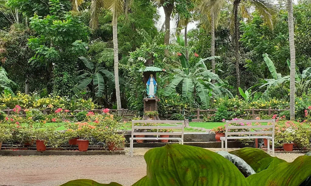 Vachana jyothi De-Addiction Centre